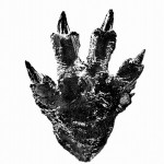 Toho's new Godzilla footprint! 